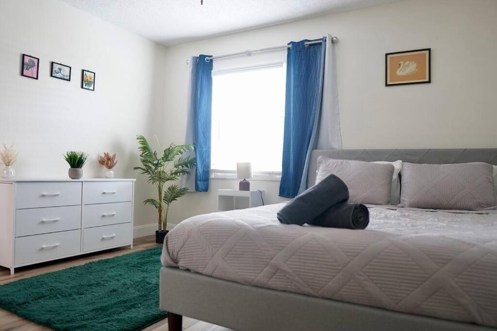 Appartamento Jay'S Cozy Arts Tampa Esterno foto